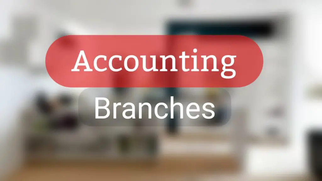 branches or Types of Accounting