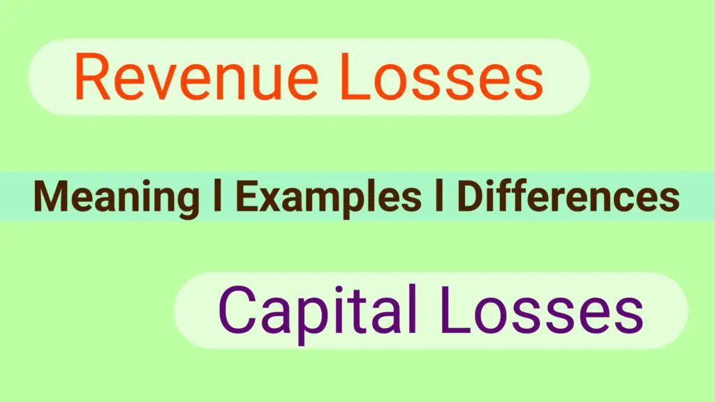5 Differences Between Capital losses And Revenue losses with Examples