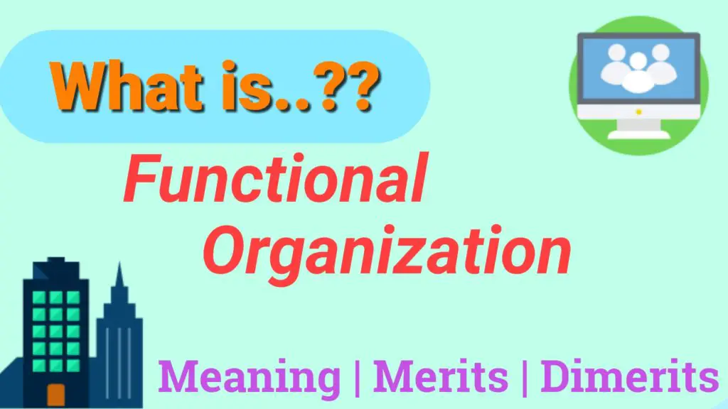 Advantages and Disadvantages of Functional Organizational Structure