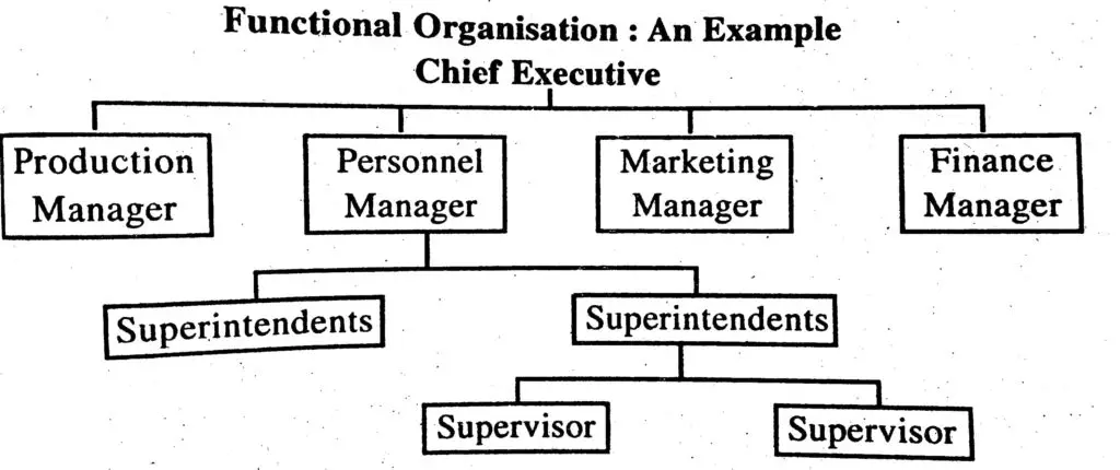 sample functional organizational structure chart