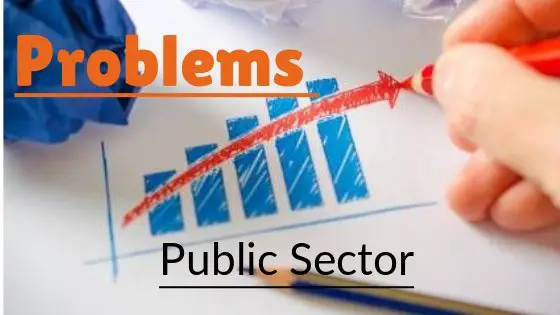 major problems of public sector