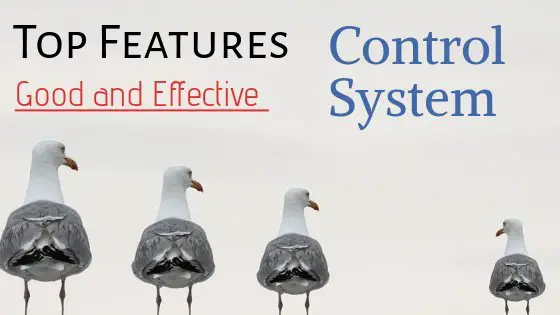 features of effective management control system