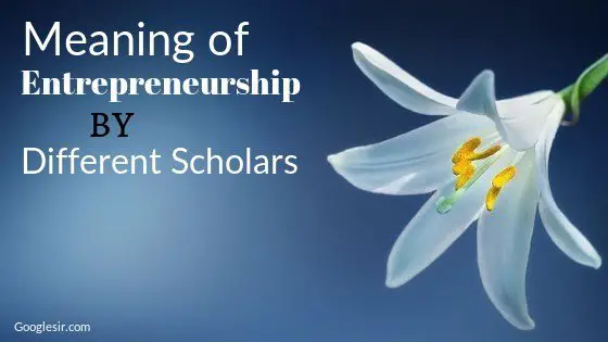 definition of entrepreneurship by different scholars
