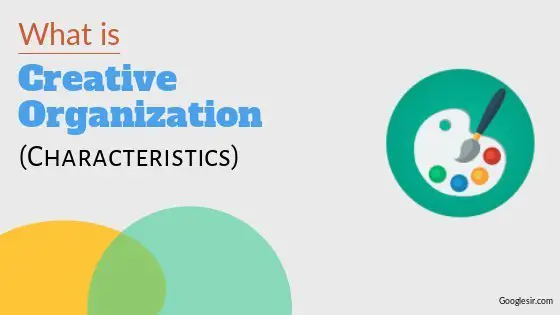characteristics of a creative organization