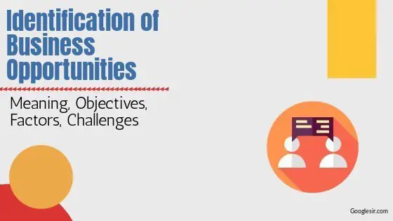 Identification of Business Opportunities: Objectives, Challenges, Factors