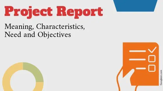 characteristics and objectives of project report