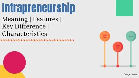 Intrapreneurship: Meaning Concept Features Differences