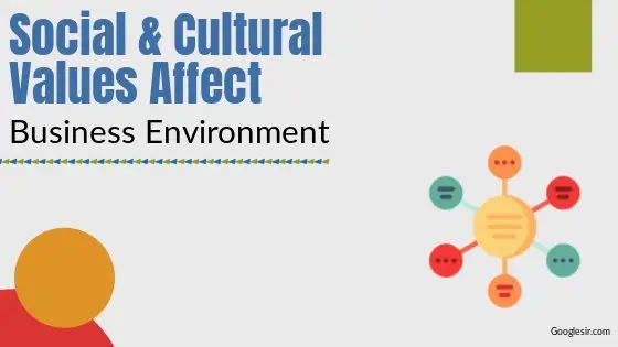 Social and Cultural Values Affect Business Environment