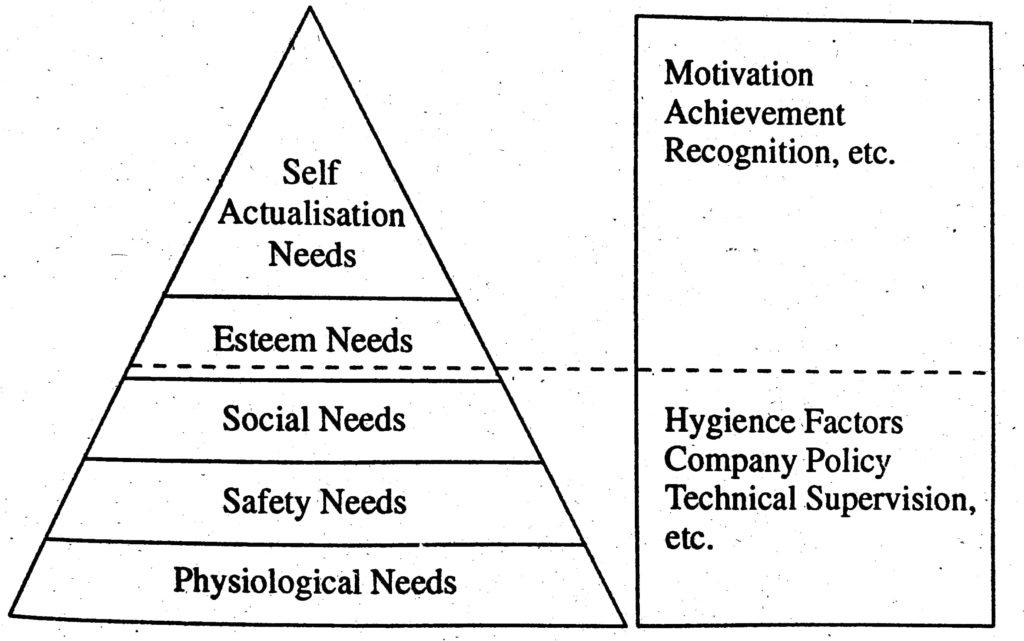 theory x and theory y with examples