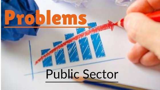 major problems of public sector