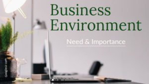 business environment