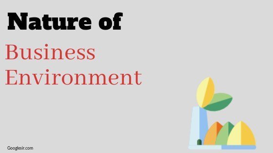 nature of business environment nature of business environment