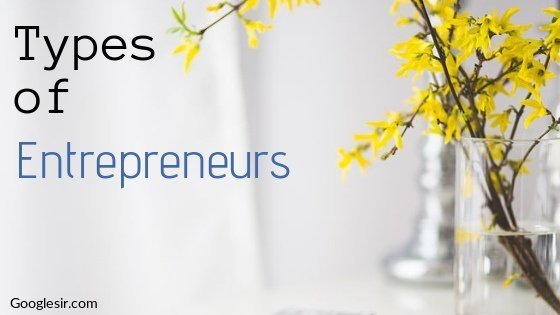 Types of Entrepreneurs Types of Entrepreneurs