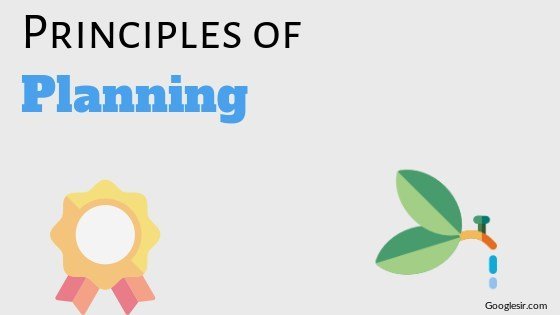 principles of planning in business management