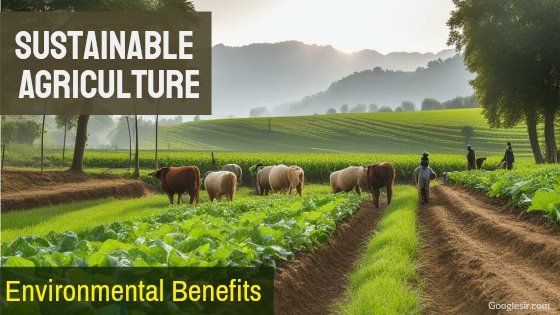 benefits of sustainable agriculture on the environment