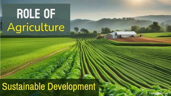 role of agriculture in sustainable development