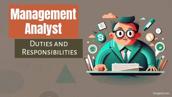 roles and responsibilities of management analyst