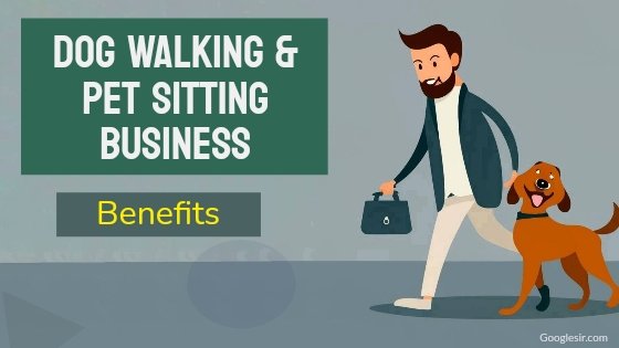 benefits of starting a dog walking or pet sitting business